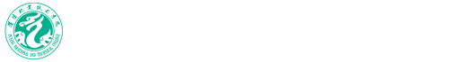 发展规划处